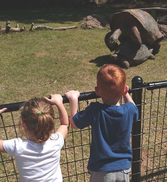 daily picdump 100 pics 3.html - 100 HD Photos | Premium Gallery 2017