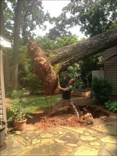 daily picdump 100 pics 3.html - 100 HD Photos | Premium Gallery 2017