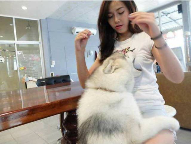 daily picdump 100 pics 3.html - 100 HD Photos | Premium Gallery 2017