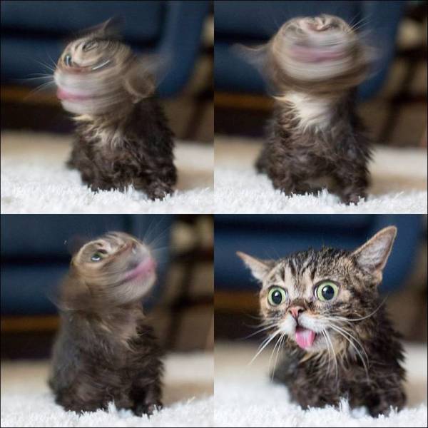 daily picdump 100 pics 3.html - 100 HD Photos | Premium Gallery 2017