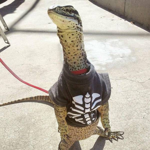 daily picdump 100 pics 3.html - 100 HD Photos | Premium Gallery 2017