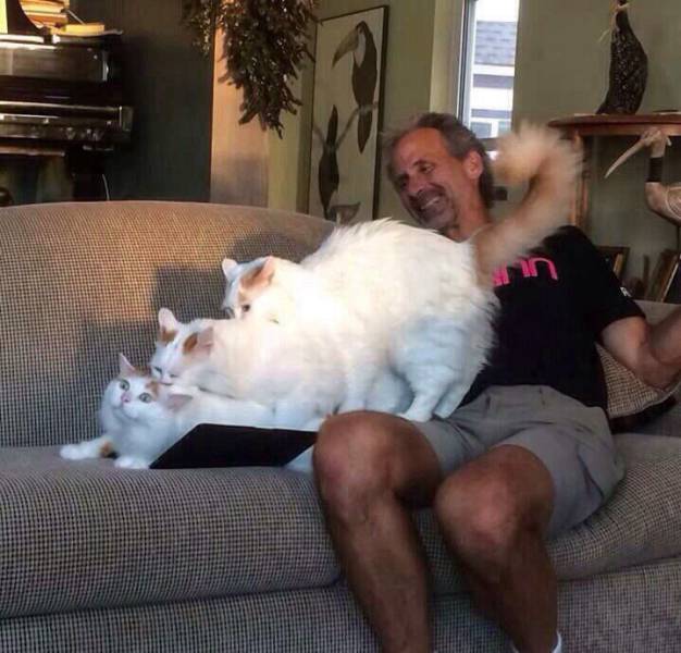 daily picdump 100 pics 3.html - 100 HD Photos | Premium Gallery 2017