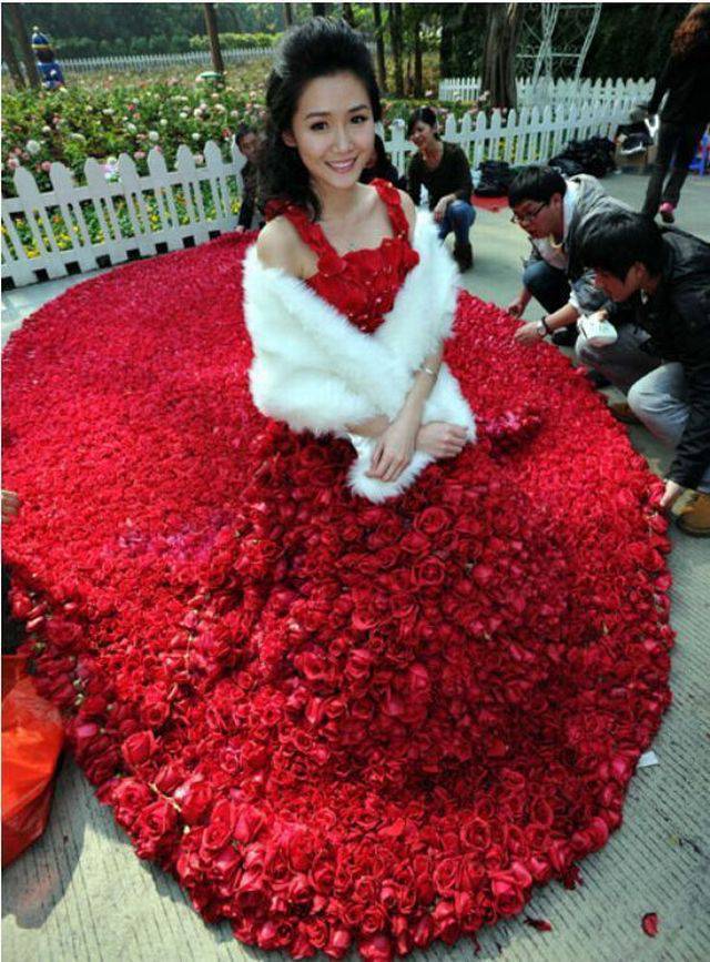 daily picdump 100 pics 3.html - 100 HD Photos | Premium Gallery 2017