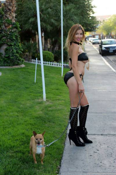 grownup corner 63 pics 8 gifs 35.html - 63 HD GIF | Premium Gallery 2017