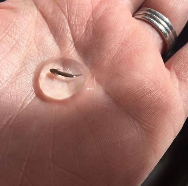 morning picdump 52 pics 9.html - 52 HD Photos | Premium Gallery 2017