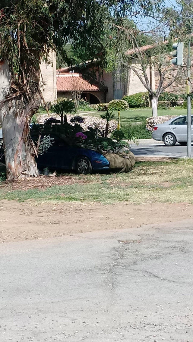 morning picdump 52 pics 9.html - 52 HD Photos | Premium Gallery 2017