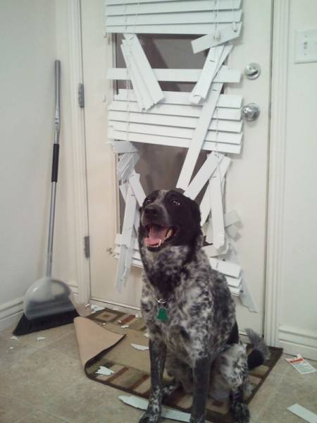 Daily Picdump [WEEKEND EDITION]