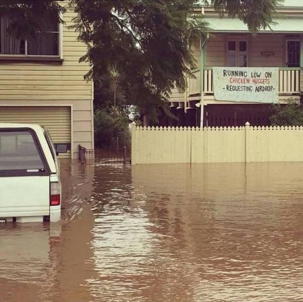 daily picdump weekend edition 66 pics 3.html - 66 HD Photos | Premium Gallery 2017