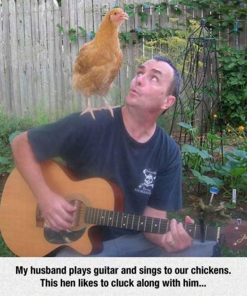 daily picdump 100 pics 25.html - 100 HD Photos | Premium Gallery 2017