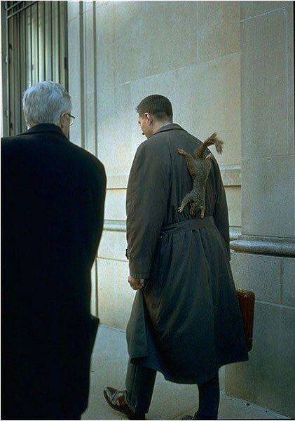 daily picdump 100 pics 25.html - 100 HD Photos | Premium Gallery 2017