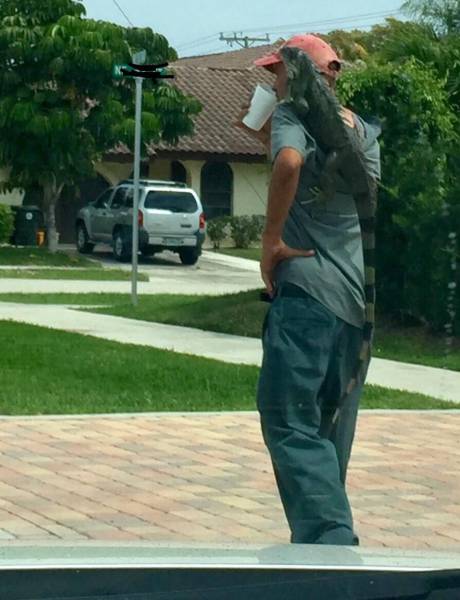 daily picdump 100 pics 25.html - 100 HD Photos | Premium Gallery 2017