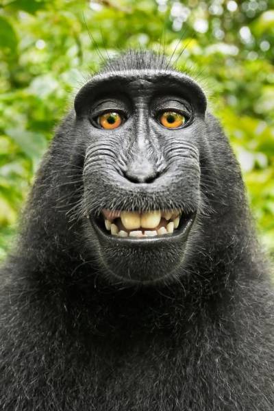 daily picdump 100 pics 25.html - 100 HD Photos | Premium Gallery 2017