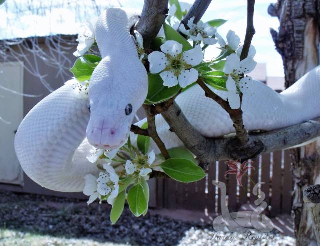 daily picdump 100 pics 25.html - 100 HD Photos | Premium Gallery 2017