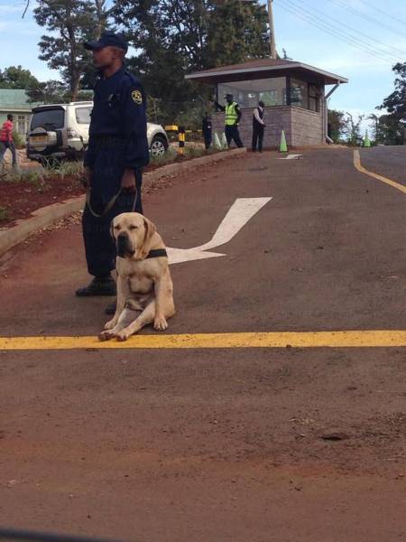 daily picdump 100 pics 25.html - 100 HD Photos | Premium Gallery 2017