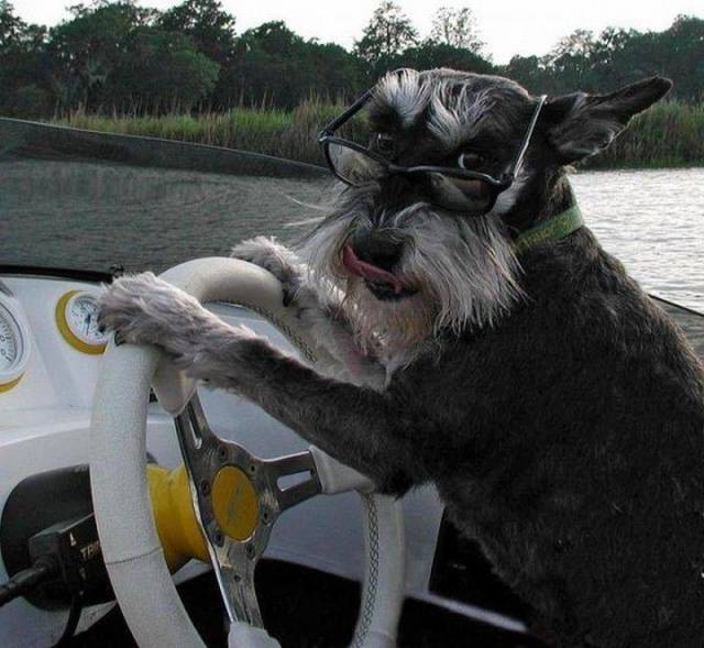 daily picdump 100 pics 25.html - 100 HD Photos | Premium Gallery 2017