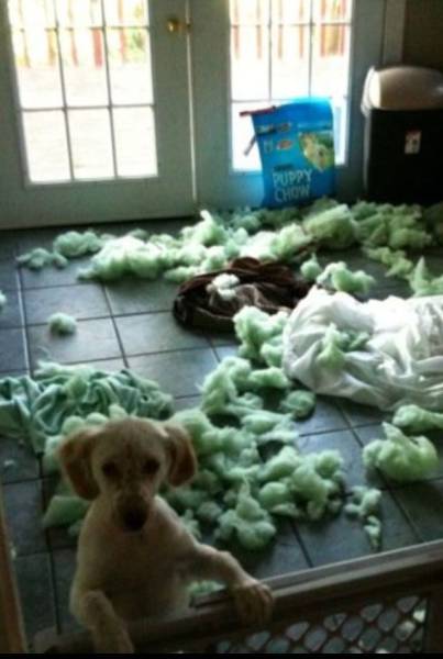 daily picdump 100 pics 25.html - 100 HD Photos | Premium Gallery 2017