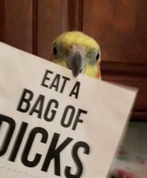 daily picdump 100 pics 25.html - 100 HD Photos | Premium Gallery 2017