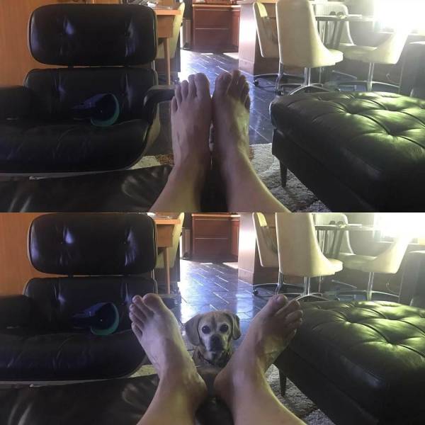 daily picdump 100 pics 4.html - 100 HD Photos | Premium Gallery 2017