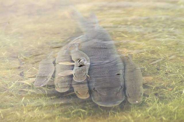 daily picdump 100 pics 4.html - 100 HD Photos | Premium Gallery 2017