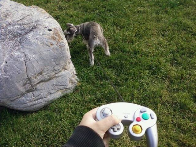 daily picdump 100 pics 4.html - 100 HD Photos | Premium Gallery 2017