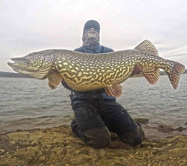 daily picdump 100 pics 4.html - 100 HD Photos | Premium Gallery 2017