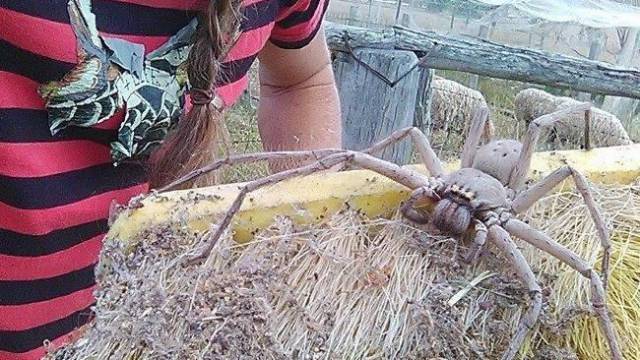 daily picdump 100 pics 4.html - 100 HD Photos | Premium Gallery 2017