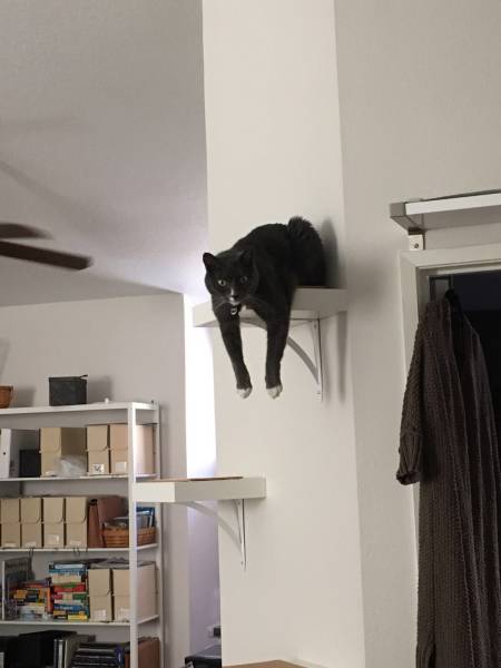 daily picdump 100 pics 4.html - 100 HD Photos | Premium Gallery 2017