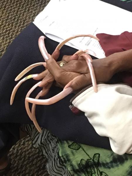 daily picdump 100 pics 4.html - 100 HD Photos | Premium Gallery 2017