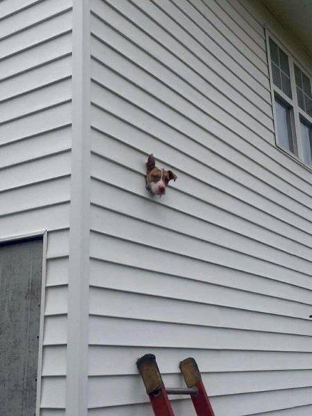 daily picdump 100 pics 4.html - 100 HD Photos | Premium Gallery 2017