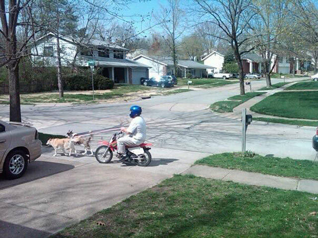 morning picdump 55 pics 2.html - 55 HD Photos | Premium Gallery 2017