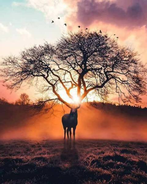 morning picdump 55 pics 2.html - 55 HD Photos | Premium Gallery 2017