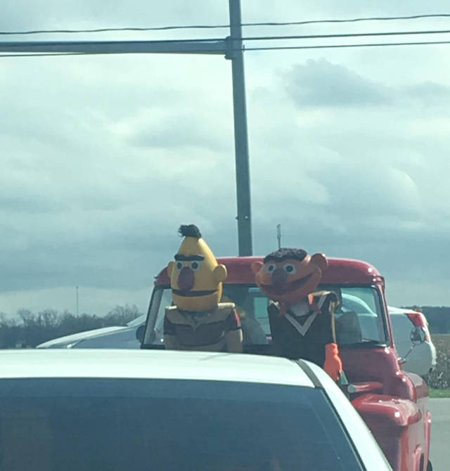 morning picdump 55 pics 2.html - 55 HD Photos | Premium Gallery 2017