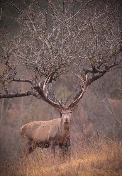 daily picdump 97 pics 29.html - 97 HD Photos | Premium Gallery 2017