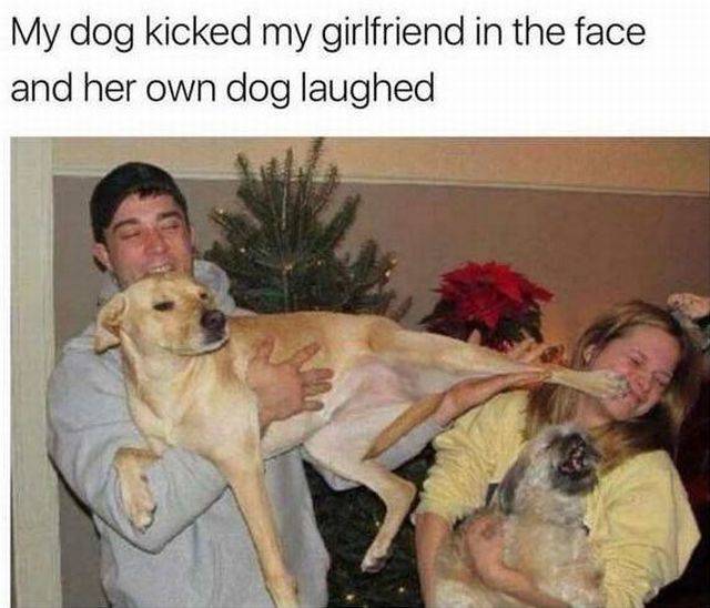 daily picdump 97 pics 29.html - 97 HD Photos | Premium Gallery 2017