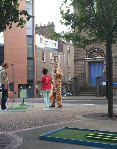 daily picdump 97 pics 29.html - 97 HD Photos | Premium Gallery 2017