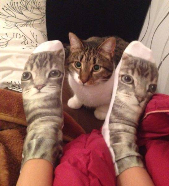 daily picdump 97 pics 29.html - 97 HD Photos | Premium Gallery 2017