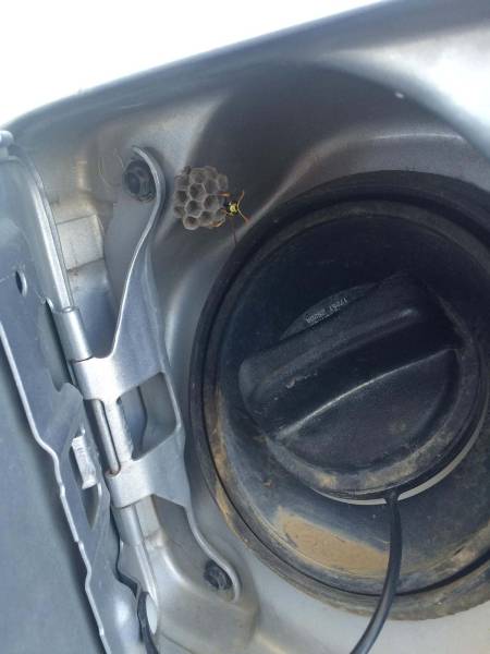 morning picdump 50 pics 9.html - 50 HD Photos | Premium Gallery 2017