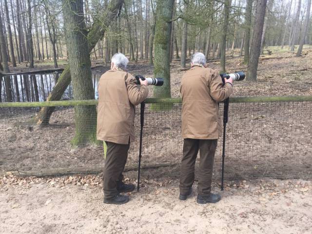 daily picdump 97 pics 29.html - 97 HD Photos | Premium Gallery 2017