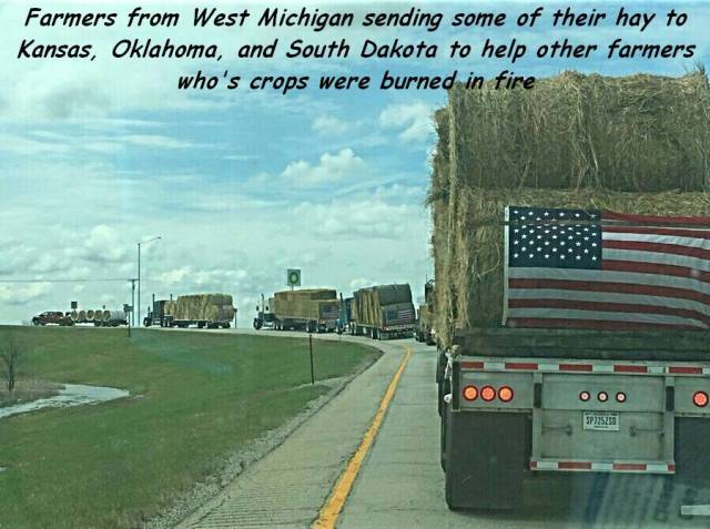 daily picdump 97 pics 29.html - 97 HD Photos | Premium Gallery 2017