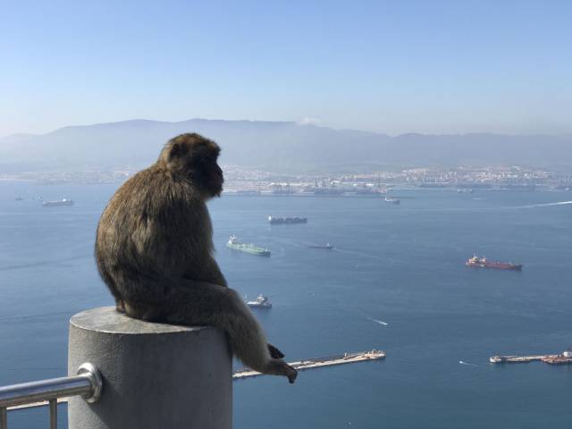 daily picdump 97 pics 29.html - 97 HD Photos | Premium Gallery 2017