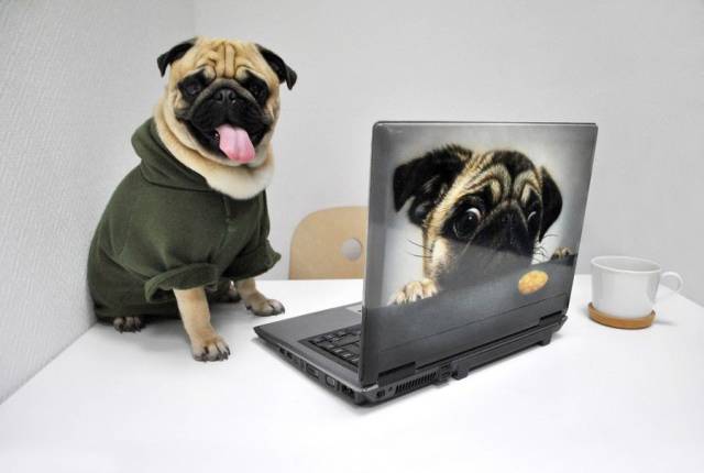 daily picdump 97 pics 29.html - 97 HD Photos | Premium Gallery 2017