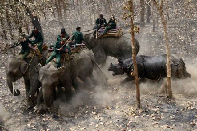 daily picdump 97 pics 29.html - 97 HD Photos | Premium Gallery 2017