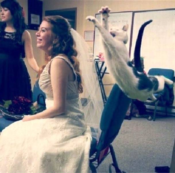 daily picdump 97 pics 29.html - 97 HD Photos | Premium Gallery 2017