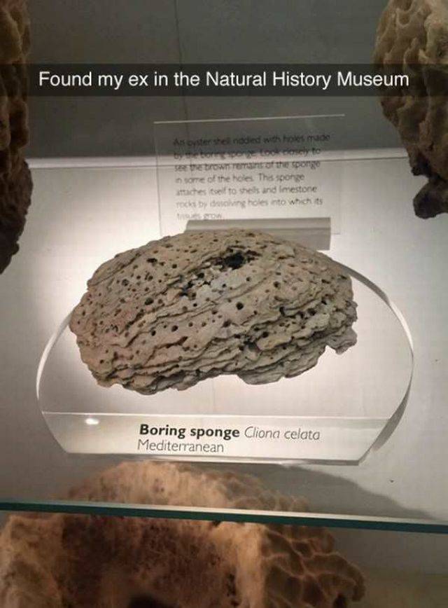 daily picdump 97 pics 29.html - 97 HD Photos | Premium Gallery 2017