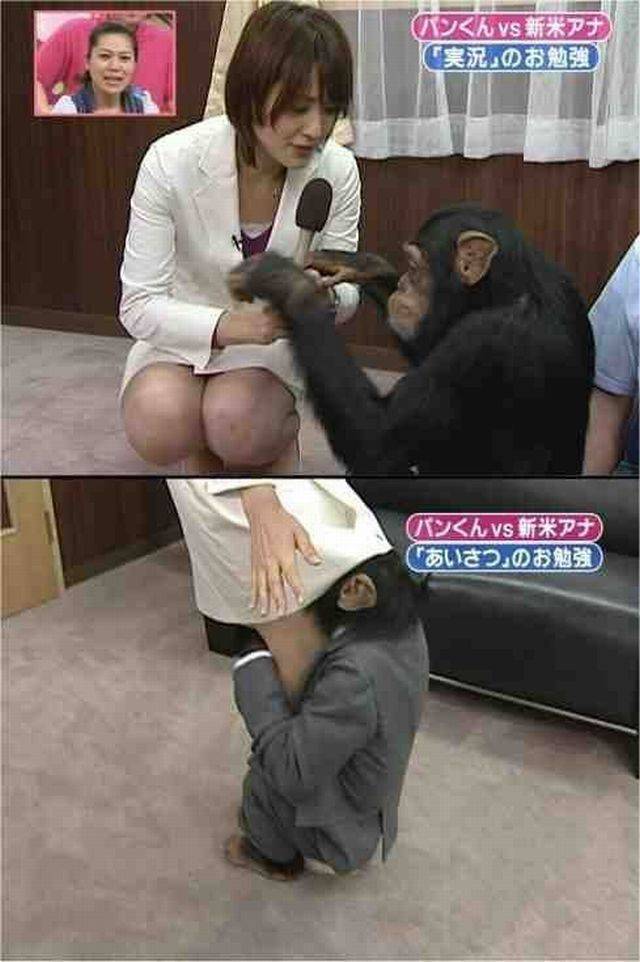 daily picdump 97 pics 29.html - 97 HD Photos | Premium Gallery 2017