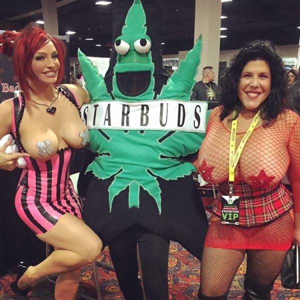 grownup corner 72 pics 2 gifs 33.html - 72 HD GIF | Premium Gallery 2017