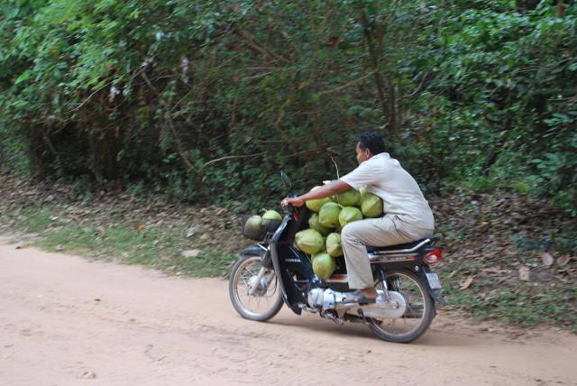 morning picdump 53 pics 18.html - 53 HD Photos | Premium Gallery 2017