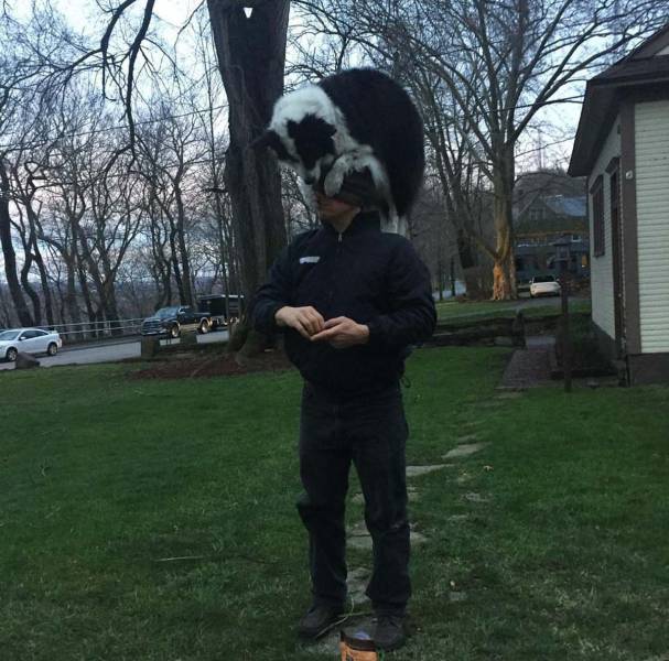 morning picdump 53 pics 18.html - 53 HD Photos | Premium Gallery 2017