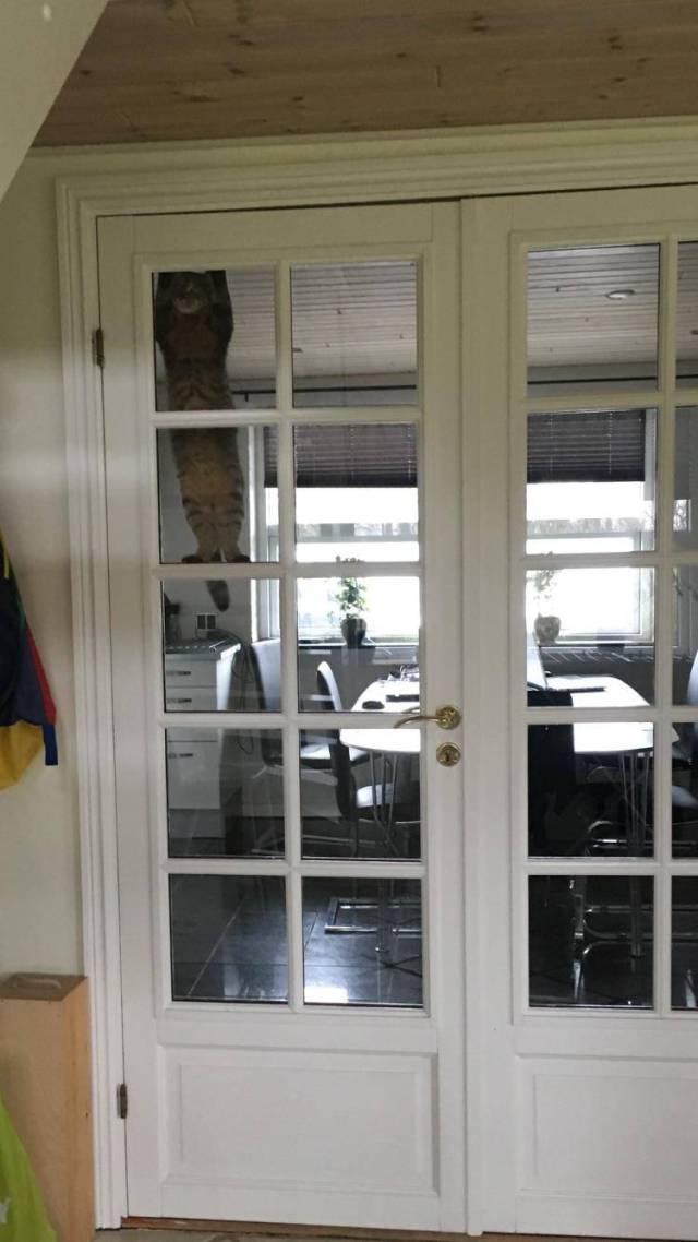 morning picdump 53 pics 18.html - 53 HD Photos | Premium Gallery 2017