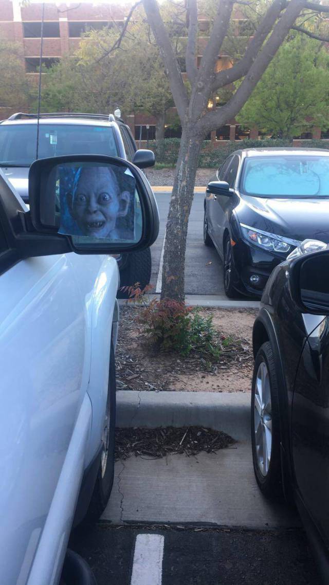 morning picdump 53 pics 18.html - 53 HD Photos | Premium Gallery 2017